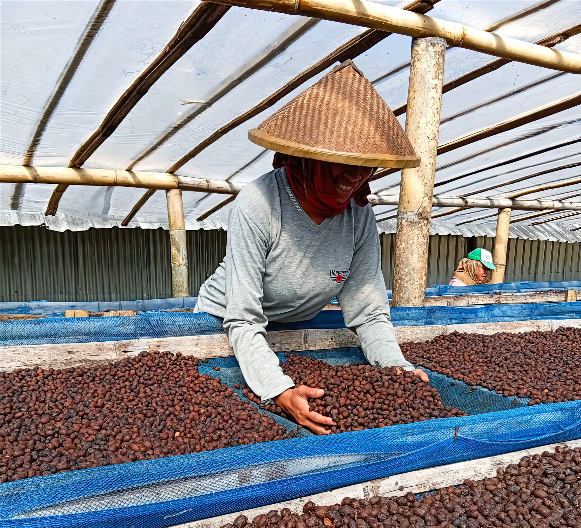 Flores processing
