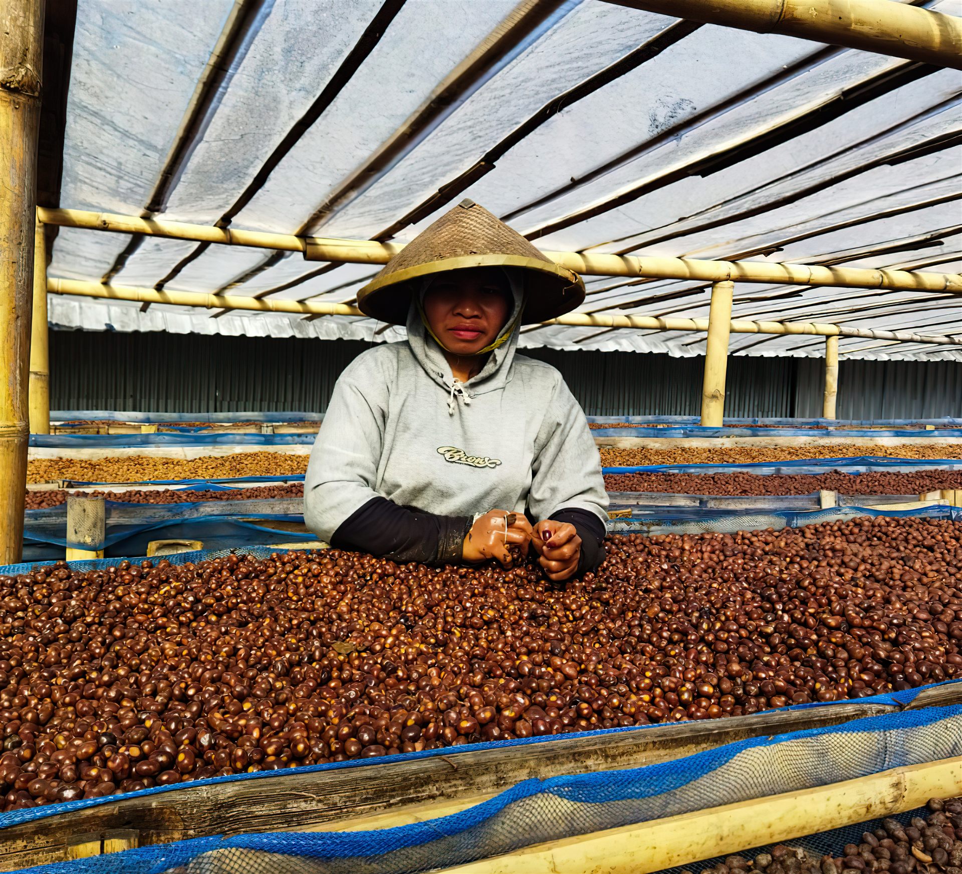 Flores processing